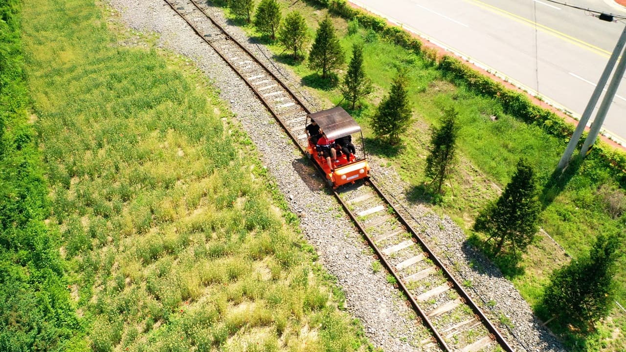 Nami Island, Mount Seorak, and Garden of Morning Calm Full-Day Tour from Seoul - image 31