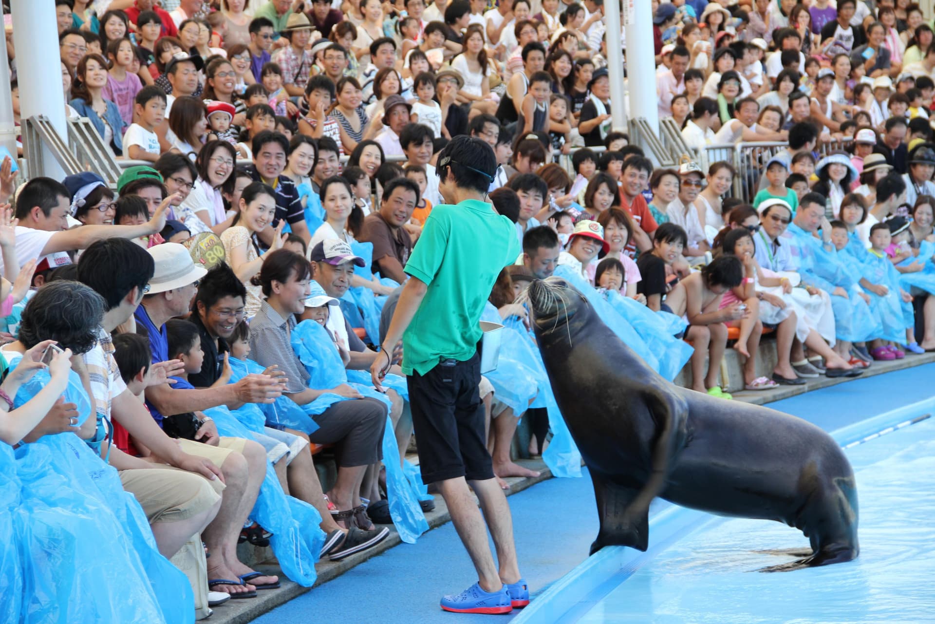 Minamichita Beach Land and Minamichita Toy Kingdom Ticket - image 3